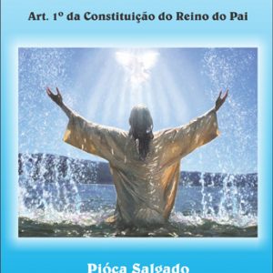 Reflexo no espelho - Art. 1º da constituição do Reino do Pai