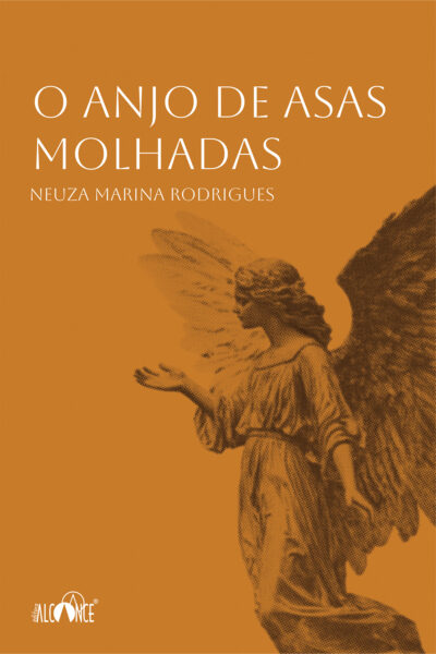 O anjo de asas molhadas - Neuza Marina Rodrigues